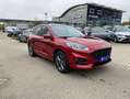 Ford Kuga 2.5 Duratec PHEV ST-LINE *PANO *WINTER-P Rot - thumbnail 15