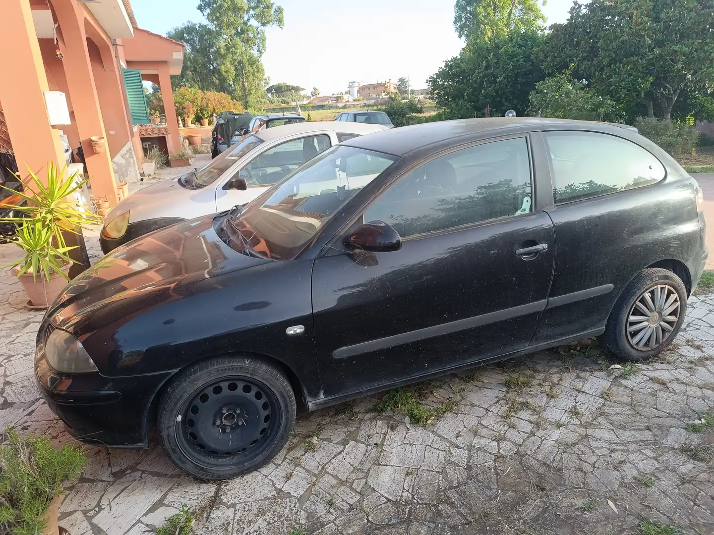 SEAT Ibiza Ibiza 3p 1.9 tdi Sport c/clima 130cv Blu/Azzurro - 2