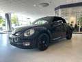 Volkswagen Beetle Cabriolet Design|Navi|Tempom.|Service neu Schwarz - thumbnail 30