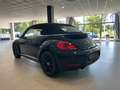 Volkswagen Beetle Cabriolet Design|Navi|Tempom.|Service neu Schwarz - thumbnail 34