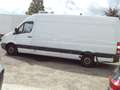 Mercedes-Benz Sprinter 313 CDI MAXI L3H2 FRIGO CARRIER-19 GRADEN Weiß - thumbnail 3