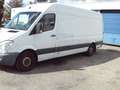 Mercedes-Benz Sprinter 313 CDI MAXI L3H2 FRIGO CARRIER-19 GRADEN Weiß - thumbnail 1