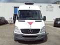 Mercedes-Benz Sprinter 313 CDI MAXI L3H2 FRIGO CARRIER-19 GRADEN Weiß - thumbnail 2