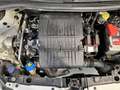 Fiat Panda Panda 1.2 Easy Van 4 posti €5000+iva Bianco - thumbnail 15