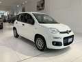 Fiat Panda Panda 1.2 Easy Van 4 posti €5000+iva Bianco - thumbnail 3