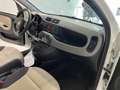 Fiat Panda Panda 1.2 Easy Van 4 posti €5000+iva Bianco - thumbnail 14