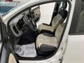 Fiat Panda Panda 1.2 Easy Van 4 posti €5000+iva Bianco - thumbnail 7