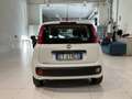 Fiat Panda Panda 1.2 Easy Van 4 posti €5000+iva Bianco - thumbnail 5