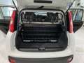 Fiat Panda Panda 1.2 Easy Van 4 posti €5000+iva Bianco - thumbnail 9