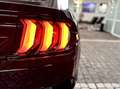 Ford Mustang 5.0 BULLITT DE+Unfallfrei Deutsch+COC Negro - thumbnail 20