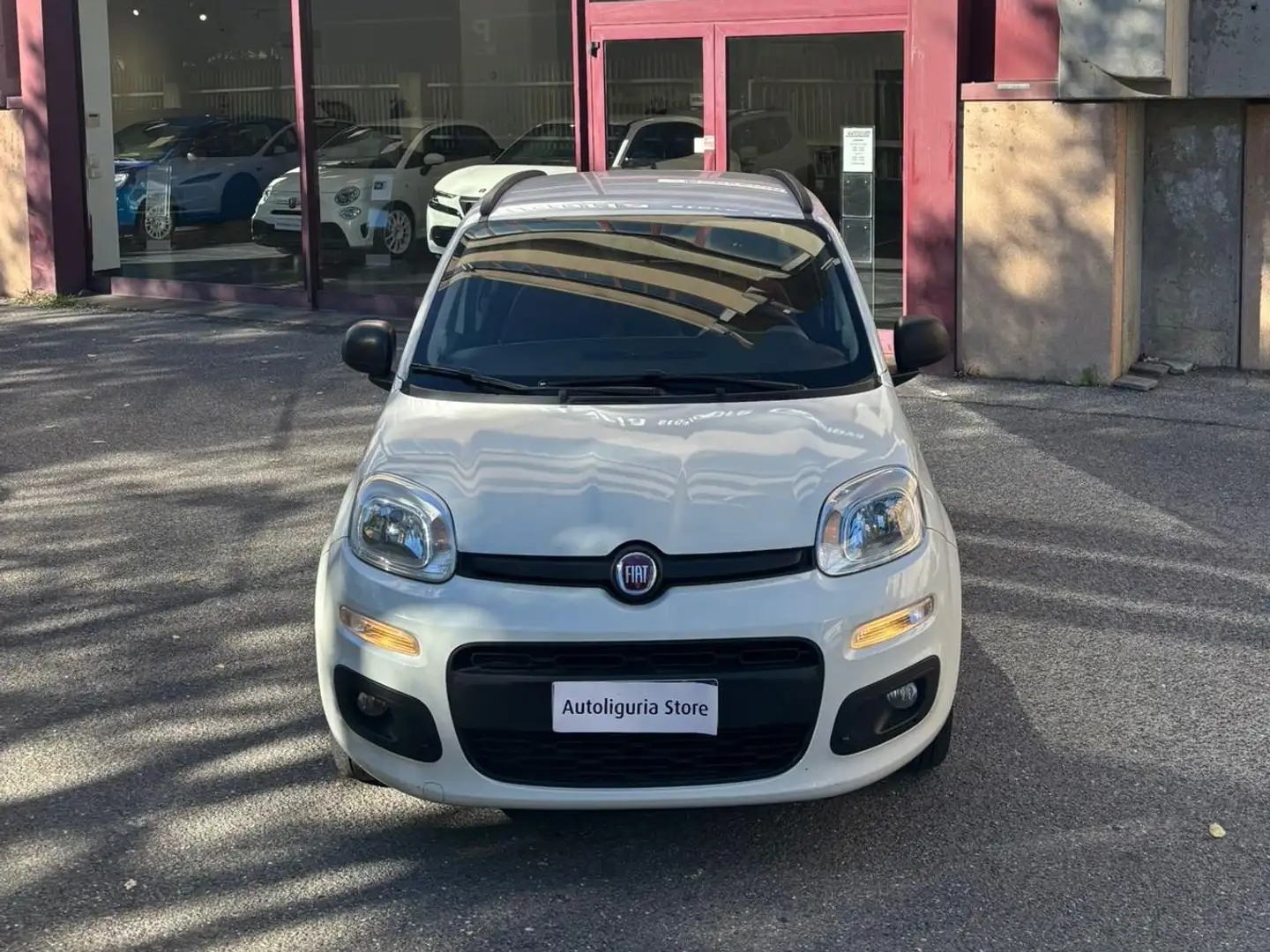 Fiat Panda Panda III 2012 1.2 easypower Easy Gpl 69cv E6 Bianco - 1
