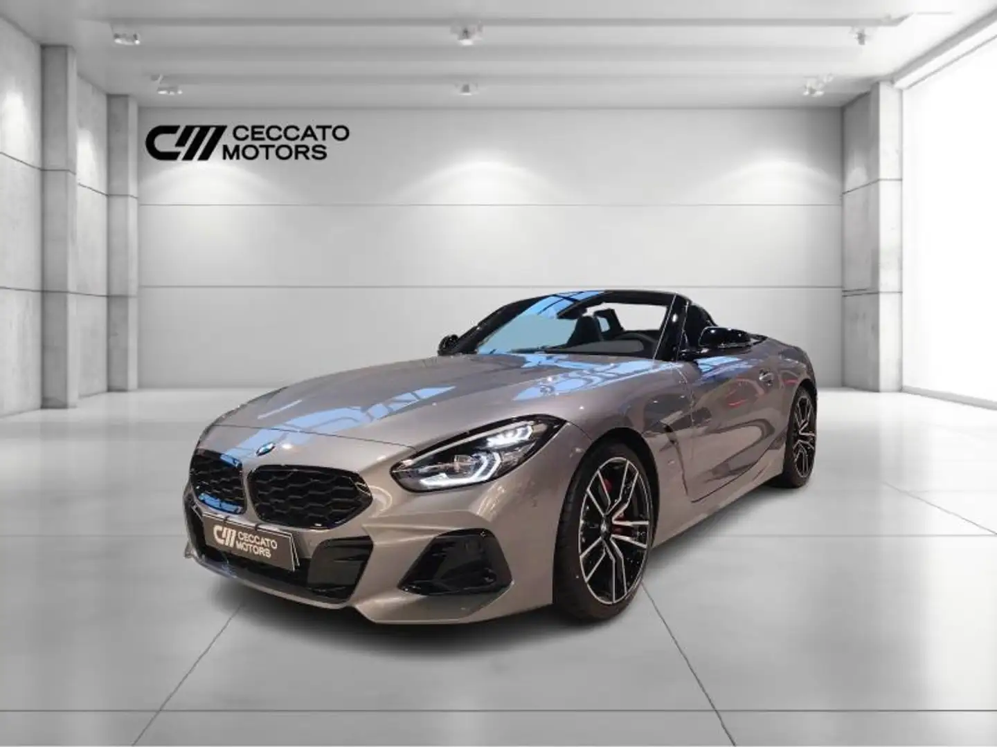 BMW Z4 M40i auto Gris - 1
