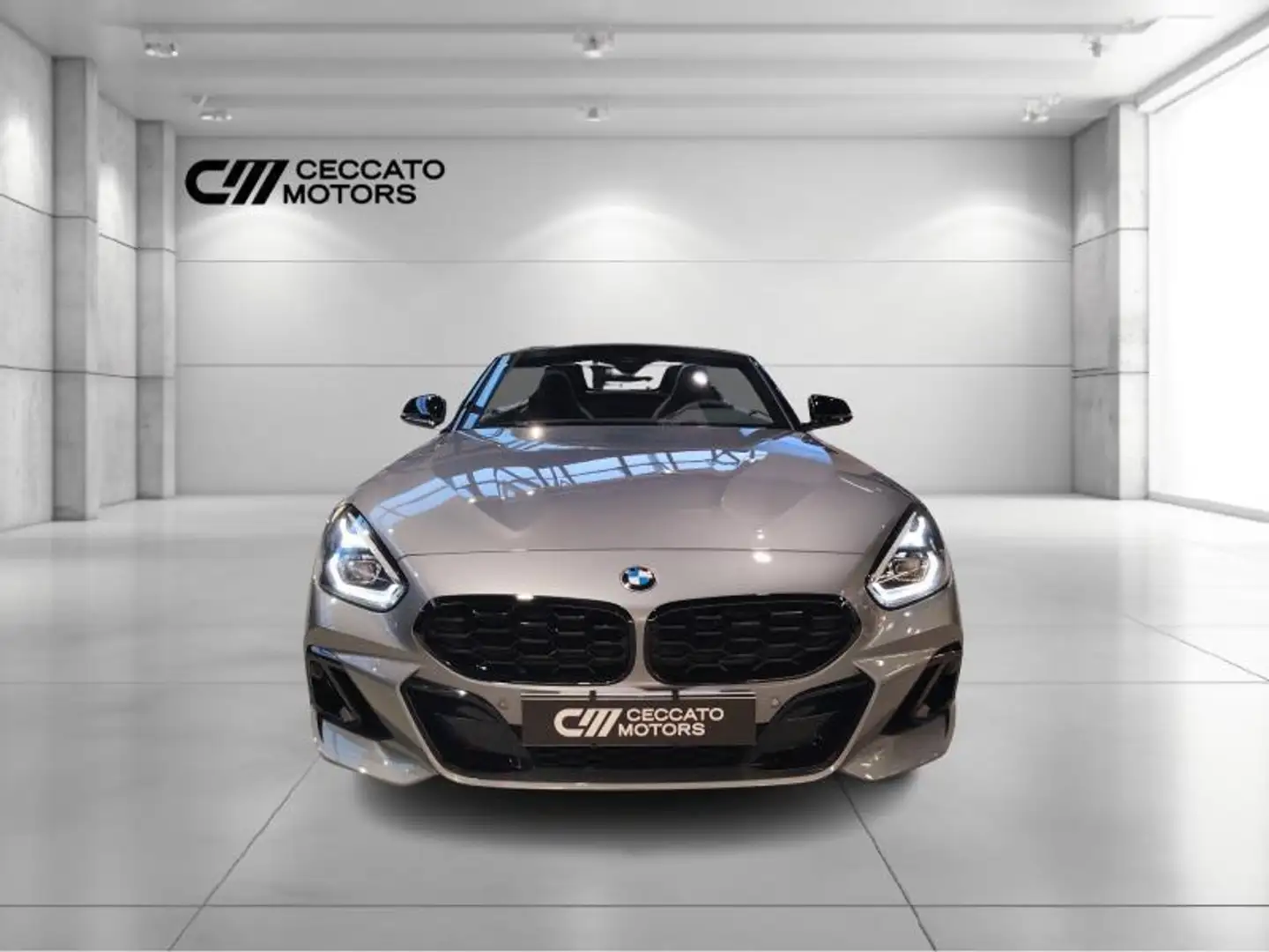 BMW Z4 M40i auto Gris - 2