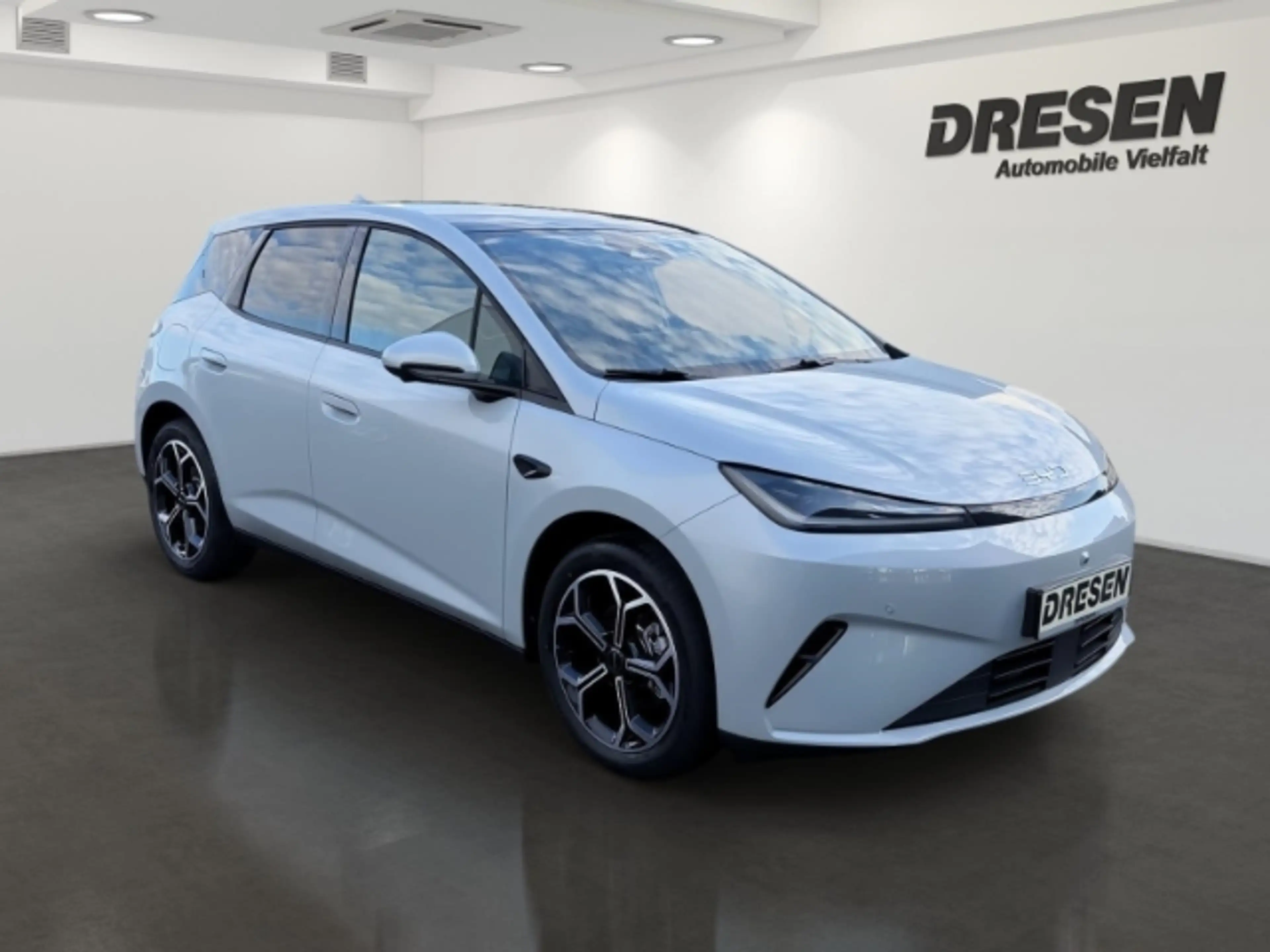 BYD Dolphin G DM-i 1.5 Comfort Panorama/Klimaautomatik/Sitzheizu — photo 3