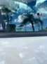 Audi A1 A1   Sportback Sportback 1.6 tdi Ambition 90cv Bianco - thumbnail 13