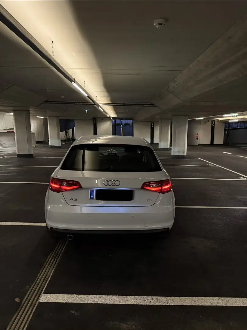Audi A3 SB Ultra 1,6 TDI Sportback Weiß - 2