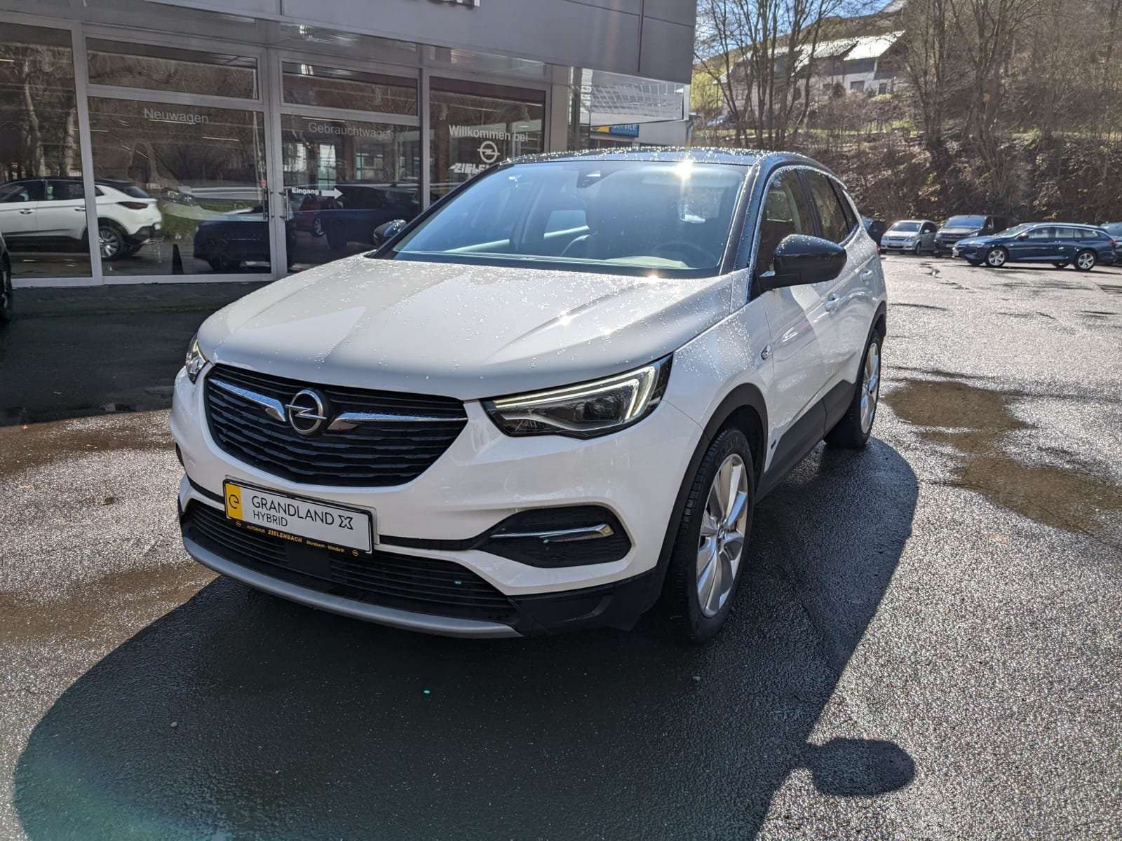 Opel Grandland X