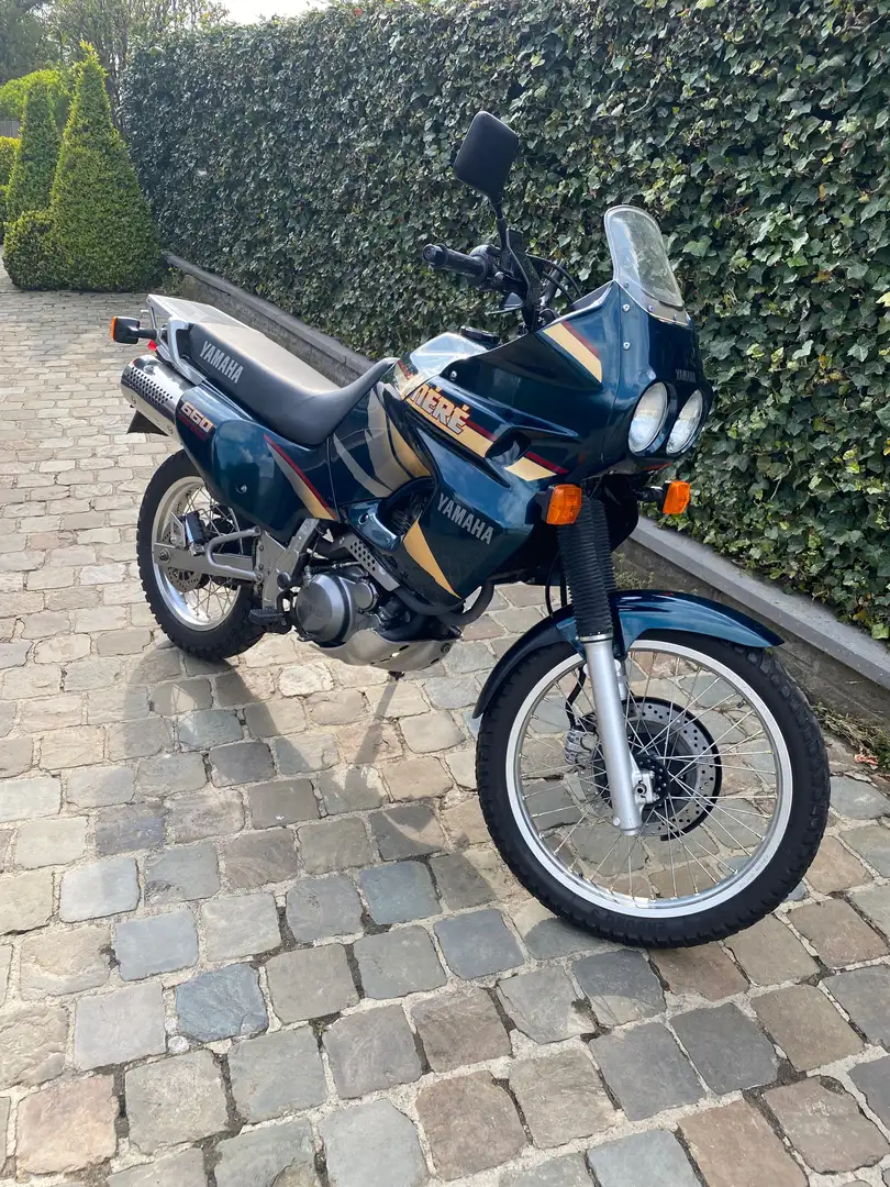 Yamaha XTZ 660 Ténéré Green - 2
