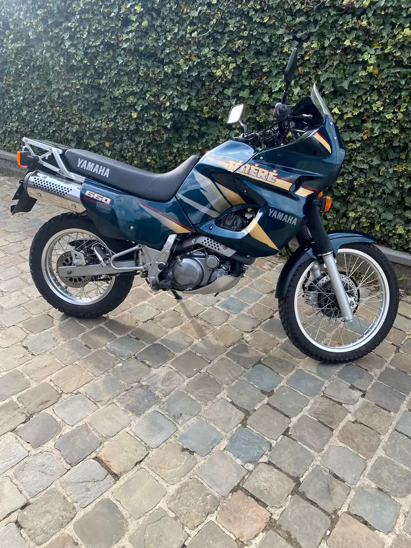 Yamaha XTZ 660 Ténéré Green - 1