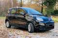 Fiat New Panda Panda 1.0 FireFly S&S Hybrid Noir - thumbnail 16