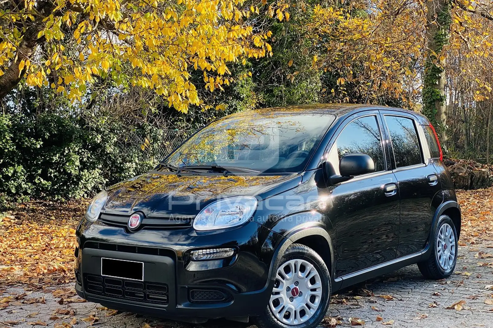 Fiat New Panda Panda 1.0 FireFly S&S Hybrid Nero - 1