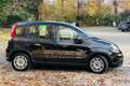 Fiat New Panda Panda 1.0 FireFly S&S Hybrid Nero - thumbnail 15