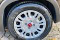 Fiat New Panda Panda 1.0 FireFly S&S Hybrid Nero - thumbnail 12