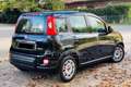 Fiat New Panda Panda 1.0 FireFly S&S Hybrid Nero - thumbnail 14