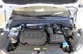 Skoda Kodiaq 2.0 TDI STYLE 4x4 Navi, LED Blanco - thumbnail 18