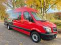 Mercedes-Benz Sprinter *316 CDI*Mixto-Maxi-XXL-Extralang*Top* Rouge - thumbnail 12