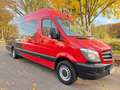 Mercedes-Benz Sprinter *316 CDI*Mixto-Maxi-XXL-Extralang*Top* Rouge - thumbnail 26