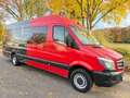 Mercedes-Benz Sprinter *316 CDI*Mixto-Maxi-XXL-Extralang*Top* Rojo - thumbnail 22