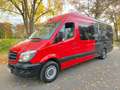 Mercedes-Benz Sprinter *316 CDI*Mixto-Maxi-XXL-Extralang*Top* Rojo - thumbnail 2