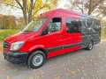 Mercedes-Benz Sprinter *316 CDI*Mixto-Maxi-XXL-Extralang*Top* Rouge - thumbnail 25