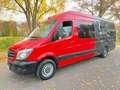 Mercedes-Benz Sprinter *316 CDI*Mixto-Maxi-XXL-Extralang*Top* Rojo - thumbnail 6