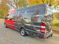 Mercedes-Benz Sprinter *316 CDI*Mixto-Maxi-XXL-Extralang*Top* Rojo - thumbnail 33