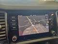 Skoda Kodiaq 2.0 tdi Executive 4x4 NAVI SENSORI Bianco - thumbnail 10