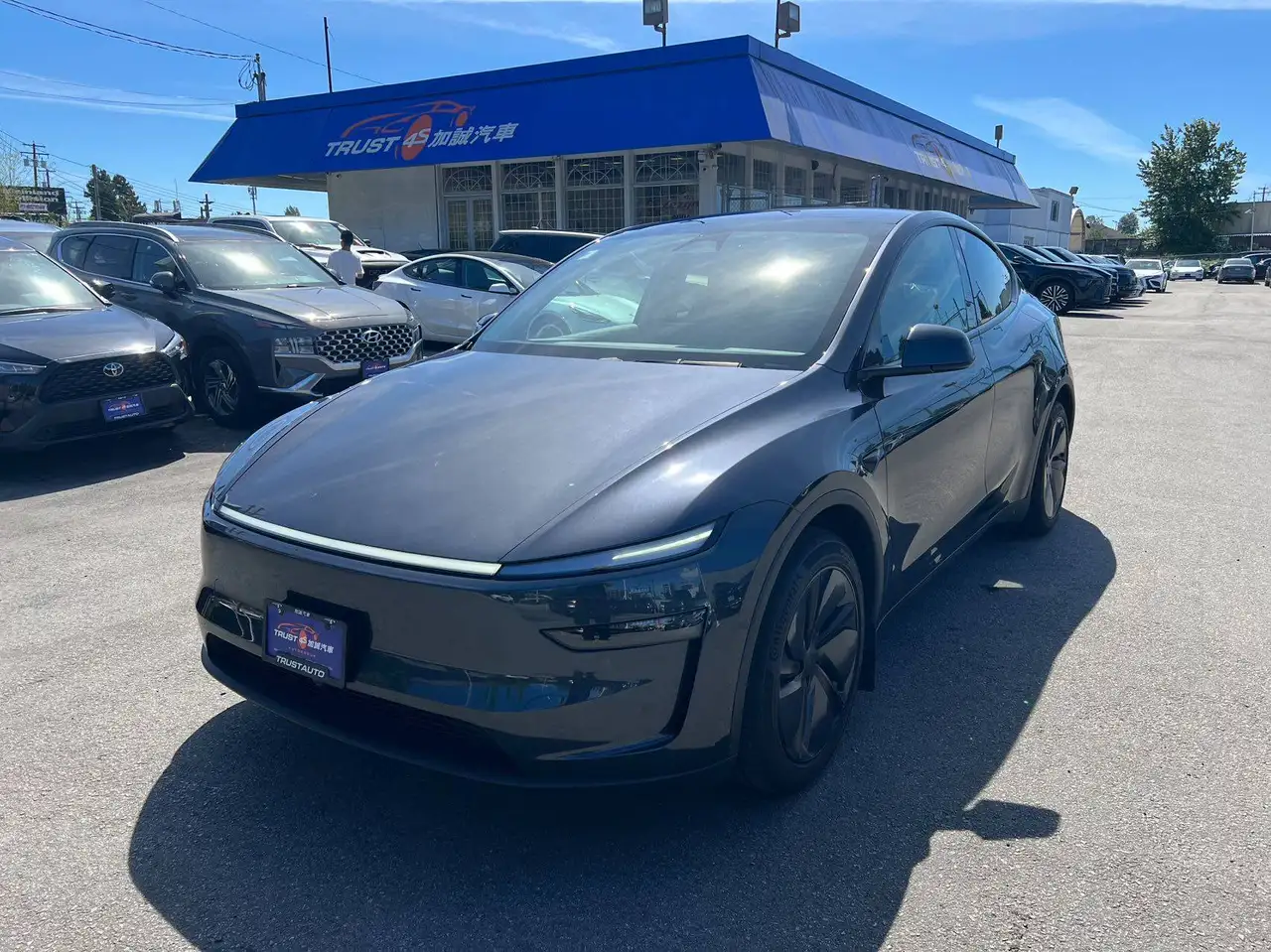 2026 Tesla Model Y