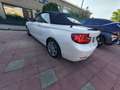 BMW 220 220d Cabrio Aut. Luxury Line - thumbnail 17