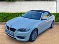 BMW 220 220d Cabrio Aut. Luxury Line - thumbnail 1