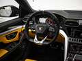 Lamborghini Urus 4.0 V8 Aut. Negro - thumbnail 26