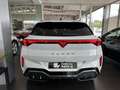 CUPRA Terramar 1.5 eTSI 110 DSG Blanc - thumbnail 6