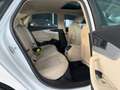 Audi A4 Lim. 30 TDI aut.*SCHIEBE-D*LEDER*ACC*AMBIENT* Weiß - thumbnail 24