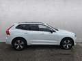 Volvo XC60 XC60 Recharge T6 AWD Licht-Paket ACC BLIS H&K Weiß - thumbnail 6