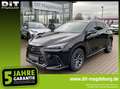 Lexus NX 350h Executive Line ACC+LED+2xKlima+LM Schwarz - thumbnail 1