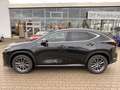 Lexus NX 350h Executive Line ACC+LED+2xKlima+LM Schwarz - thumbnail 4