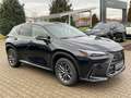 Lexus NX 350h Executive Line ACC+LED+2xKlima+LM Noir - thumbnail 9