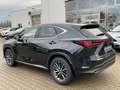 Lexus NX 350h Executive Line ACC+LED+2xKlima+LM Schwarz - thumbnail 5