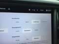 Tesla Model S Performance Ludicrous Zwart - thumbnail 9