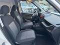 Fiat Doblo CARGO 1.3 Multijet 16v SX 95cv COIBENTATO Blanc - thumbnail 17